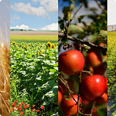 Dealer Info Image (1)