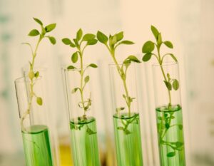 Gettyimages 469555444 768x596