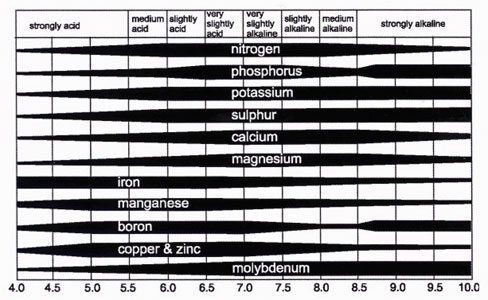 Phosphorus Chart Ph